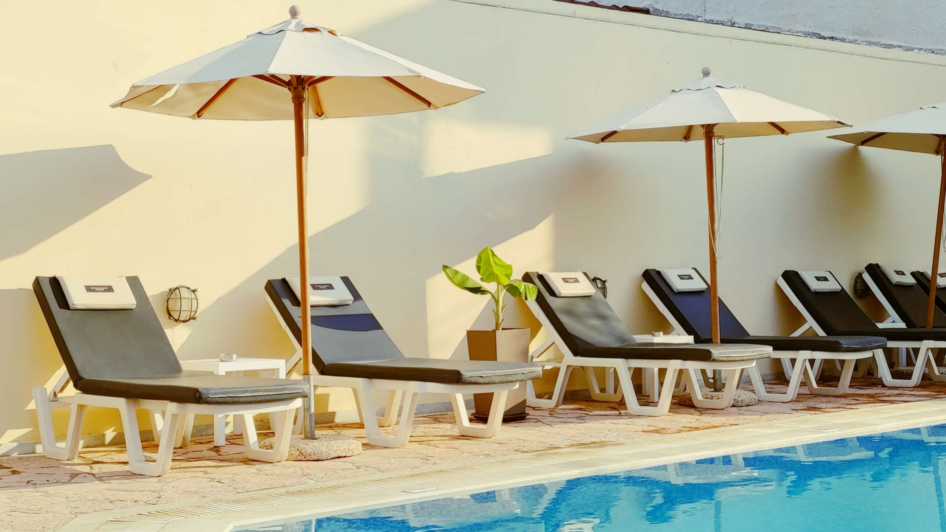 Stavros Beach Resort - Poolside sunbeds